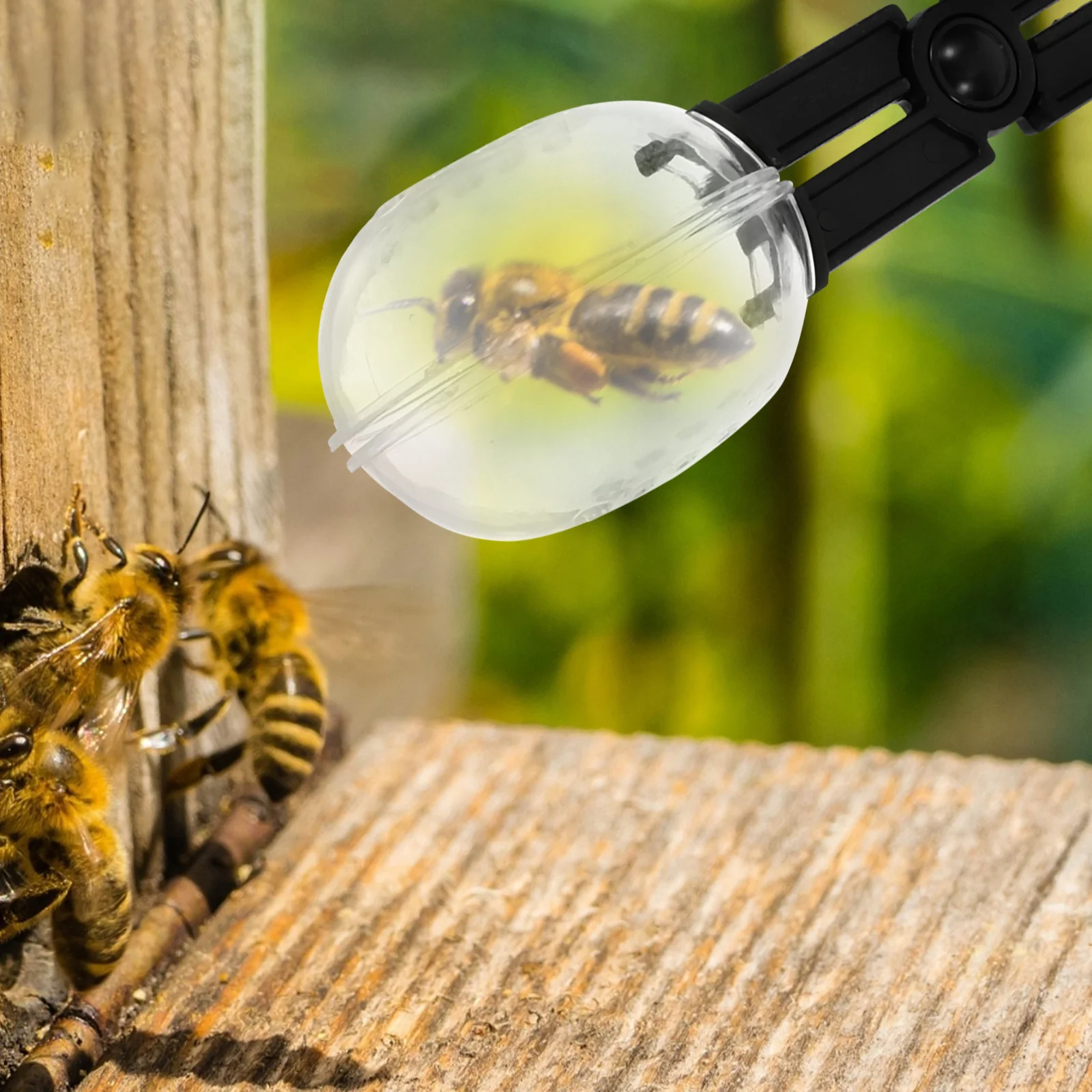 1 set 1 Set Bee Queen Cage Kit Plastic Beekeeping Tools Catcher Clip Set For Bee Breeding Garden Beekeeper Equipment Tool
1 set 1 Set Bee Queen Cage Kit Plastic Beekeeping Tools Catcher Clip Set For Bee Breeding Garden Beekeeper Equipment Tool