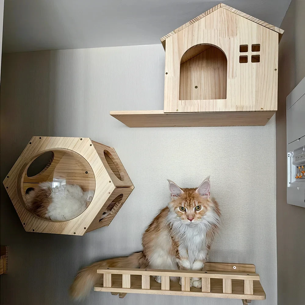 Настенные полки для лазанья для кошек, гамак для кошек с лестницей и когтеточкой, платформа для прыжков для котят, играющих и окуней
Настенные полки для лазанья для кошек, гамак для кошек с лестницей и когтеточкой, платформа для прыжков для котят, играющих и окуней