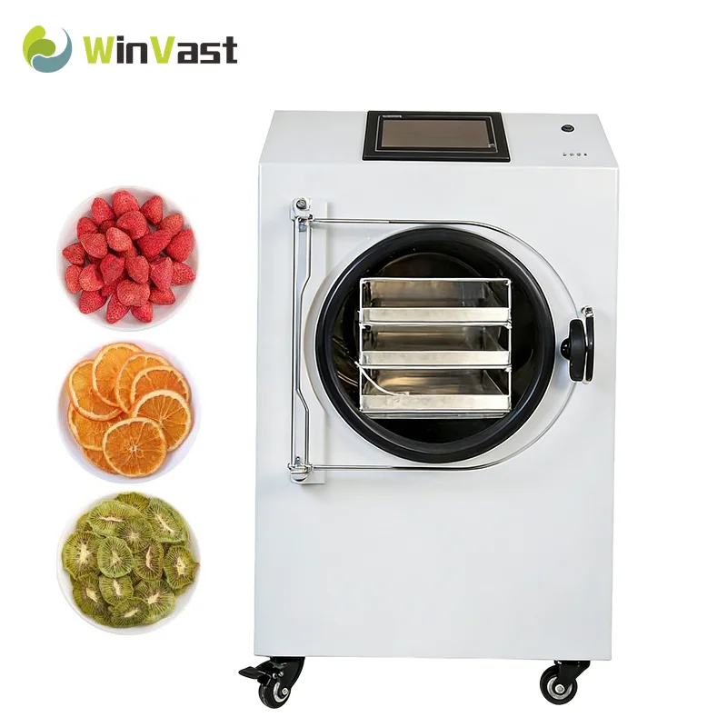 WINVAST Small Vacuum Freeze Drying Machine With Pump For Food Processing Vegetable Fruit MeatCandy Home Freeze Dryer
WINVAST Small Vacuum Freeze Drying Machine With Pump For Food Processing Vegetable Fruit MeatCandy Home Freeze Dryer