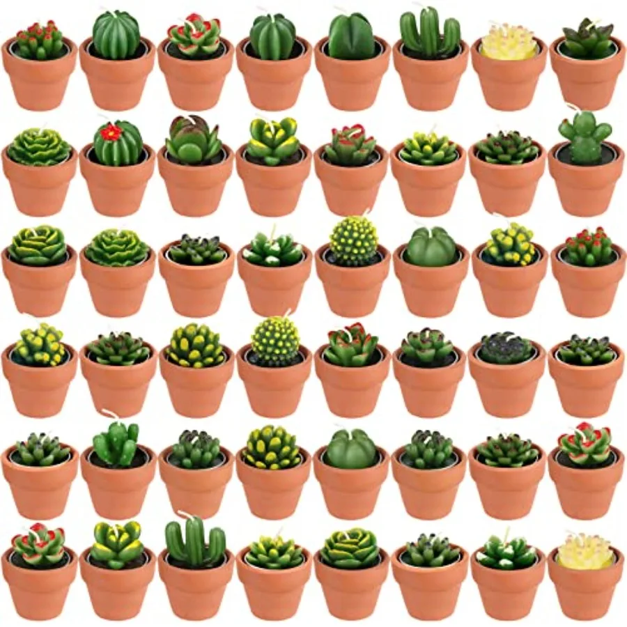 48 Pcs Bulk Succulent Candles Decorative Cactus Tealight Candles Handmade Mini Terracotta Clay Holders House Warming Wedding Ba
48 Pcs Bulk Succulent Candles Decorative Cactus Tealight Candles Handmade Mini Terracotta Clay Holders House Warming Wedding Ba
