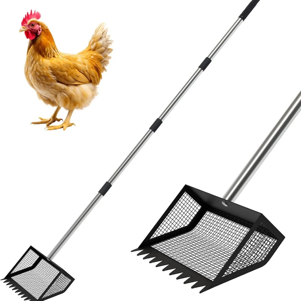 Large Chicken Manure Shovel Poop Scooper with Long Handle Chicken Droppings Scoop Rake Waste, for Small Farm
Large Chicken Manure Shovel Poop Scooper with Long Handle Chicken Droppings Scoop Rake Waste, for Small Farm