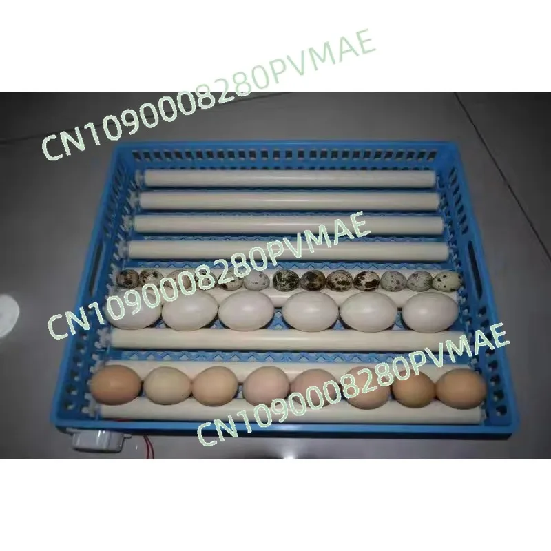 Dual Power Incubator Poultry Egg Incubators 100/200/300 Chicken Egg Fully Automatic Hatching Machine with Adjustable Roller Tray
Dual Power Incubator Poultry Egg Incubators 100/200/300 Chicken Egg Fully Automatic Hatching Machine with Adjustable Roller Tray