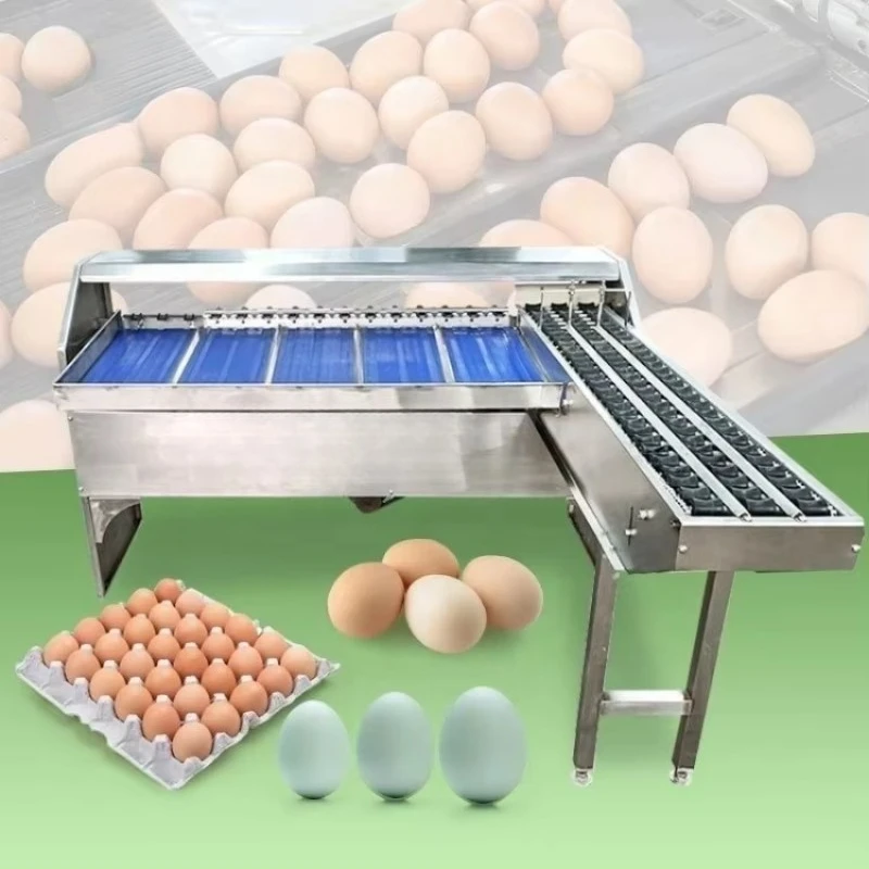 Automatic Packing Weigh Grader Quail Classifier Customized Manufactured Egg Sorting Grading Machine Industrial Top Sale
Automatic Packing Weigh Grader Quail Classifier Customized Manufactured Egg Sorting Grading Machine Industrial Top Sale