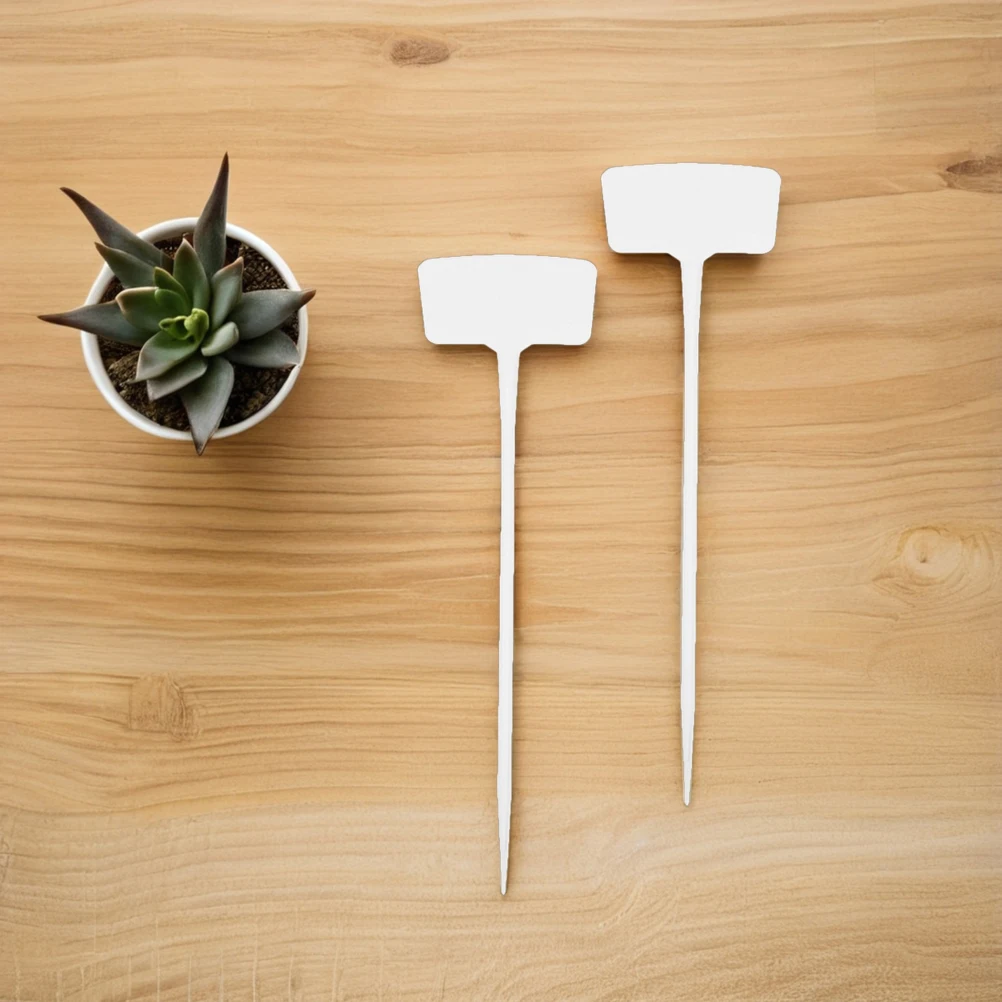 20 Pcs Gardening Signage Decorative Signboards Flower Name Tags Bow Label Labels Plastic Markers
20 Pcs Gardening Signage Decorative Signboards Flower Name Tags Bow Label Labels Plastic Markers