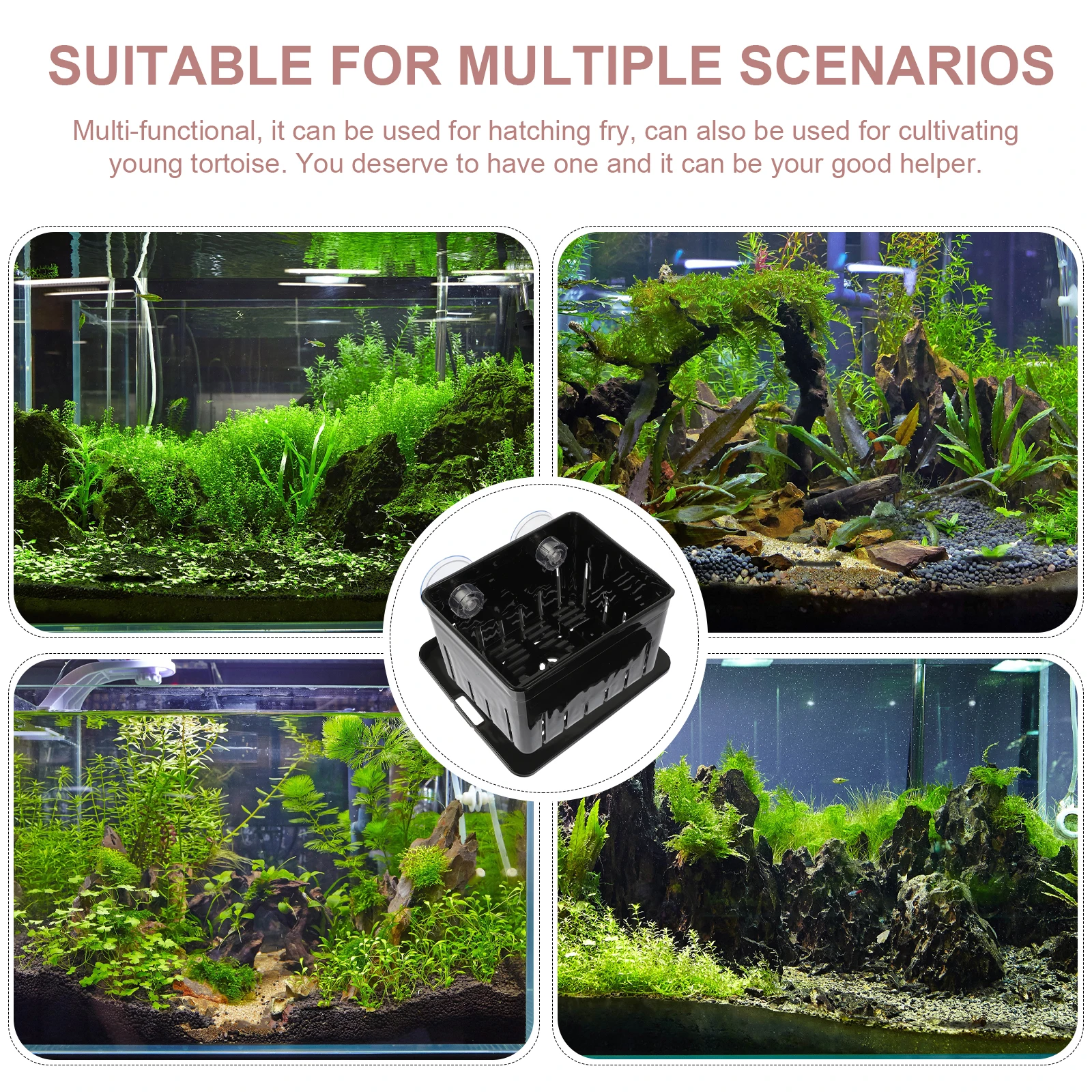 1 set Incubation Box Turtle Separator Reptile Breeding Accessories Plastic Tortoise Isolation Tank Household Multi-Function
1 set Incubation Box Turtle Separator Reptile Breeding Accessories Plastic Tortoise Isolation Tank Household Multi-Function