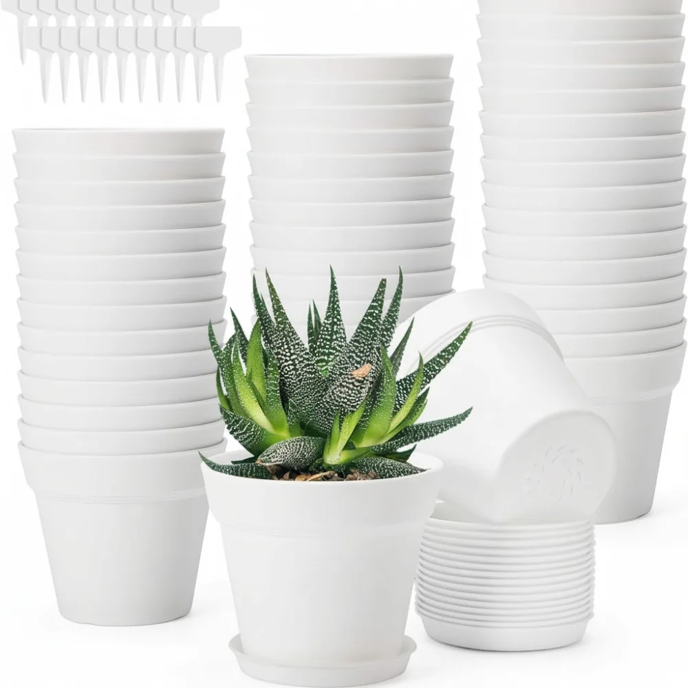 48 Packs 4 Inch Plant Pots with Drainage, Thickened Succulent Planters with Saucers for Home Garden Indoor Outdoor Flowers
48 Packs 4 Inch Plant Pots with Drainage, Thickened Succulent Planters with Saucers for Home Garden Indoor Outdoor Flowers