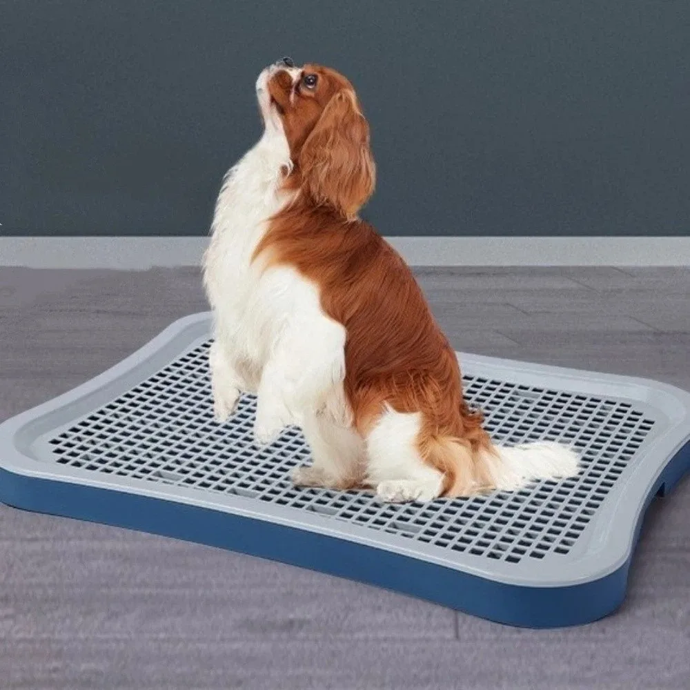 Splash-Proof Dog Training Toilet Detachable Non-slip Puppy Training Potty Plastic Leakproof Dog Potty Tray Potty Training
Splash-Proof Dog Training Toilet Detachable Non-slip Puppy Training Potty Plastic Leakproof Dog Potty Tray Potty Training