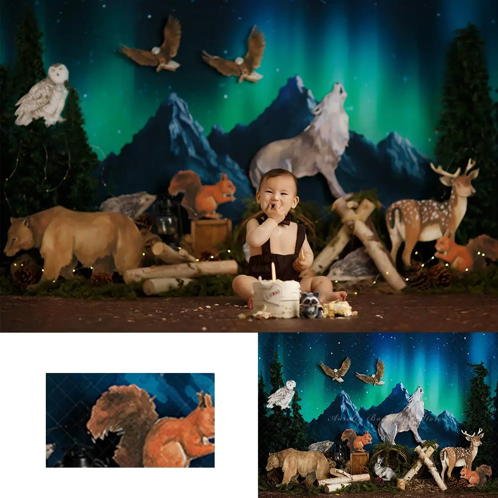 Northern Lights Backdrop Kids Baby Birthday Cake Smash Photography Props Child Girls Adult Studio Backgrounds
Northern Lights Backdrop Kids Baby Birthday Cake Smash Photography Props Child Girls Adult Studio Backgrounds