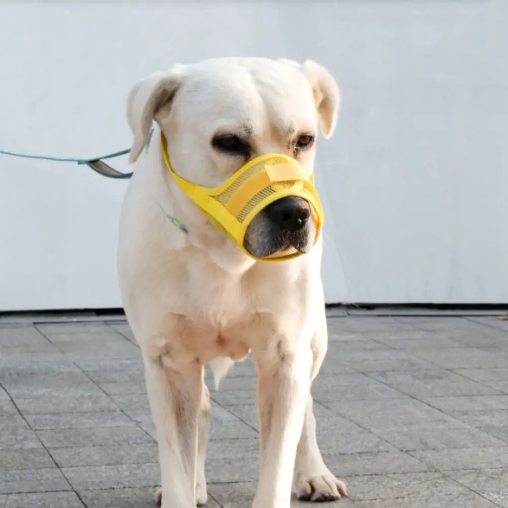 Practical Adjustable Anti Barking Dog Muzzle Mesh Soft Pet Mouth Muzzles Breathable Dog Mouth Cover Prevent Crowing
Practical Adjustable Anti Barking Dog Muzzle Mesh Soft Pet Mouth Muzzles Breathable Dog Mouth Cover Prevent Crowing