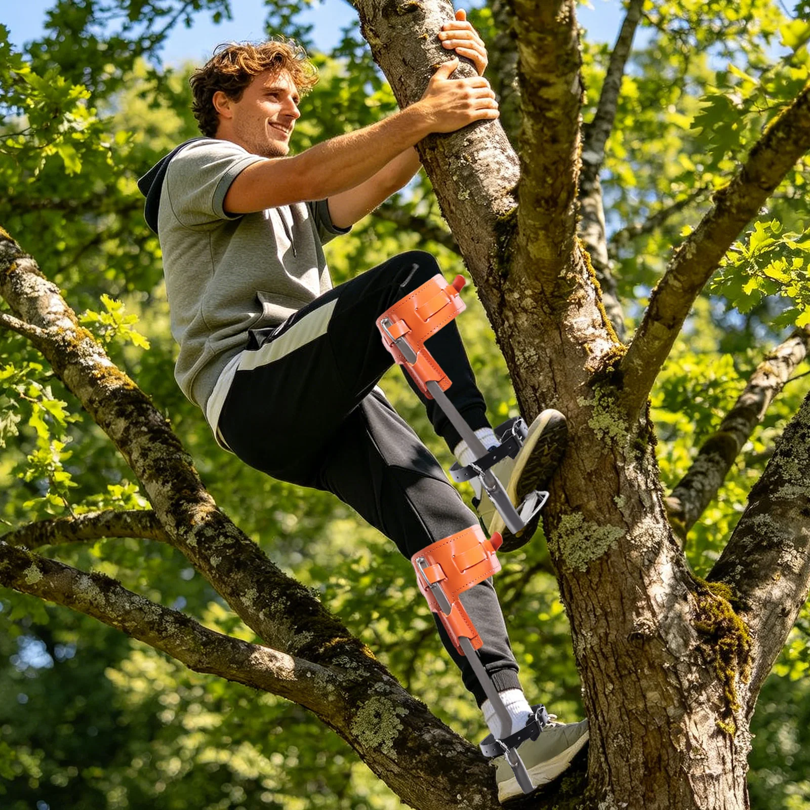 Tree Climbing Tool, One-Piece Lightweight Anti-Slip Climbing Spikes, Smooth Round Edge Safe Climbing Gear for Jungle Adventure High Altitude Work
Tree Climbing Tool, One-Piece Lightweight Anti-Slip Climbing Spikes, Smooth Round Edge Safe Climbing Gear for Jungle Adventure High Altitude Work