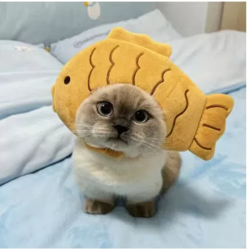 Funny Pet Cat Cap Cute Hair Loop Headgear Cosplay Small Dogs Kitten Knitted Hat Cat Costume Warm Winter Headdress Dog Supplies
Funny Pet Cat Cap Cute Hair Loop Headgear Cosplay Small Dogs Kitten Knitted Hat Cat Costume Warm Winter Headdress Dog Supplies