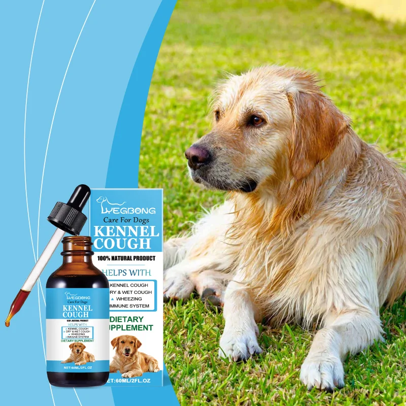 Dog Health Syrup - Nutritional Supplement For Immune Support & Throat Comfort - Added To Food Or Direct Feeding For Dogs
Dog Health Syrup - Nutritional Supplement For Immune Support & Throat Comfort - Added To Food Or Direct Feeding For Dogs