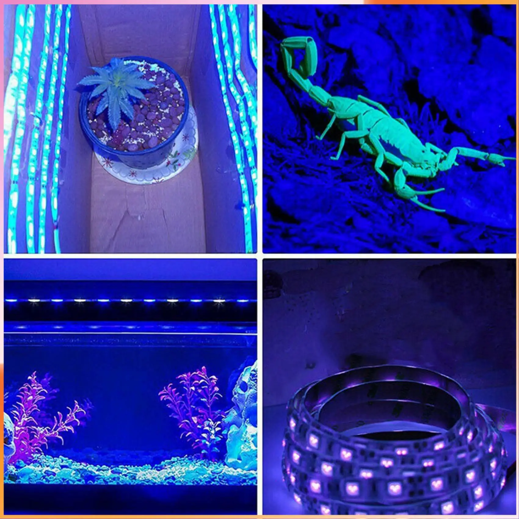 A93Z 2X 20W LED UV Light Strip Ultraviolet Flexible Purple 16.5FT Blacklight 5M 300Leds
A93Z 2X 20W LED UV Light Strip Ultraviolet Flexible Purple 16.5FT Blacklight 5M 300Leds