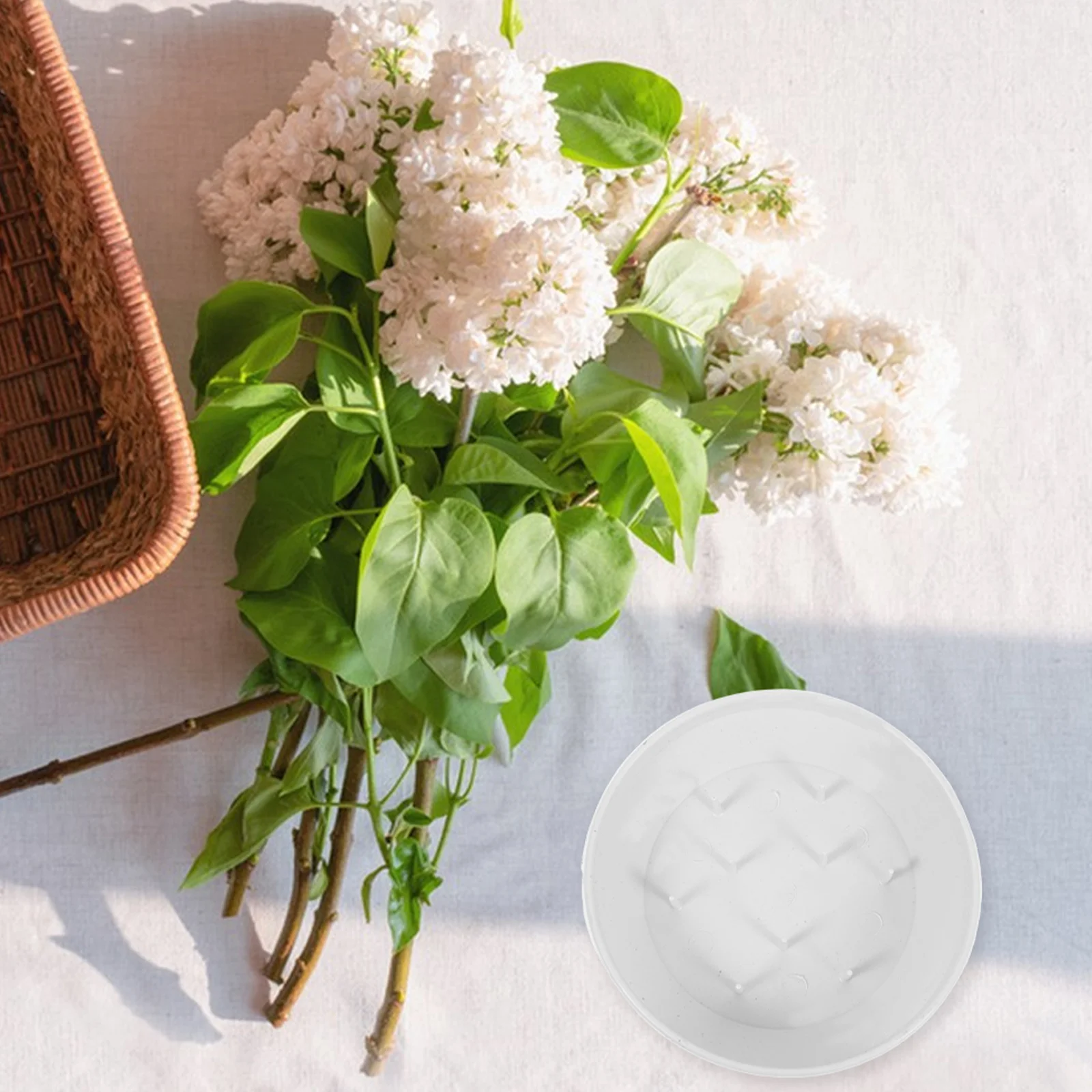 25 Pcs Arranging Pin Plate Bouquet Holder Foam Cage Round Flower Holder For Bouquet Wedding DIY Craft Floral Arrangement Decor
25 Pcs Arranging Pin Plate Bouquet Holder Foam Cage Round Flower Holder For Bouquet Wedding DIY Craft Floral Arrangement Decor
