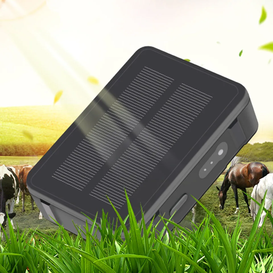 2025Animal GPS-трекер на солнечной энергии, GPS-трекер для коров, самозарядка, GPS-трекер для домашних животных
2025Animal GPS-трекер на солнечной энергии, GPS-трекер для коров, самозарядка, GPS-трекер для домашних животных