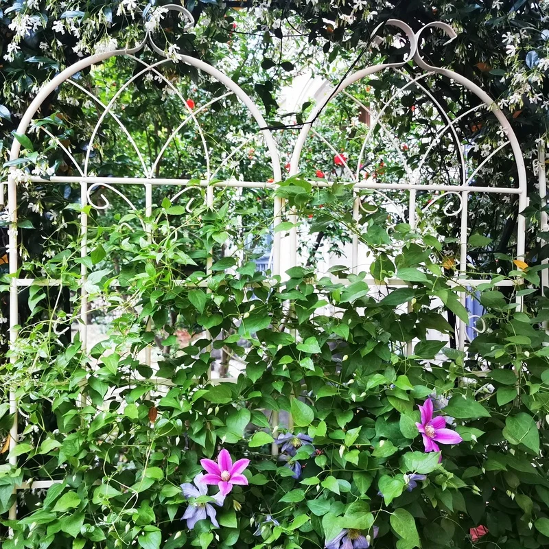 2 Pack Metal Garden Trellis 71" x 19.7" Rustproof Outdoor Plant Support in Cream White
2 Pack Metal Garden Trellis 71" x 19.7" Rustproof Outdoor Plant Support in Cream White