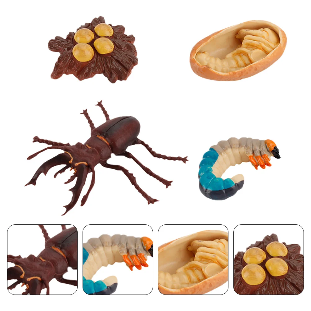 4 Pcs Growth Cycle Toys Children’s Educational Supplies Display Models Abs Insect Evolution Simulation Decoration
4 Pcs Growth Cycle Toys Children’s Educational Supplies Display Models Abs Insect Evolution Simulation Decoration