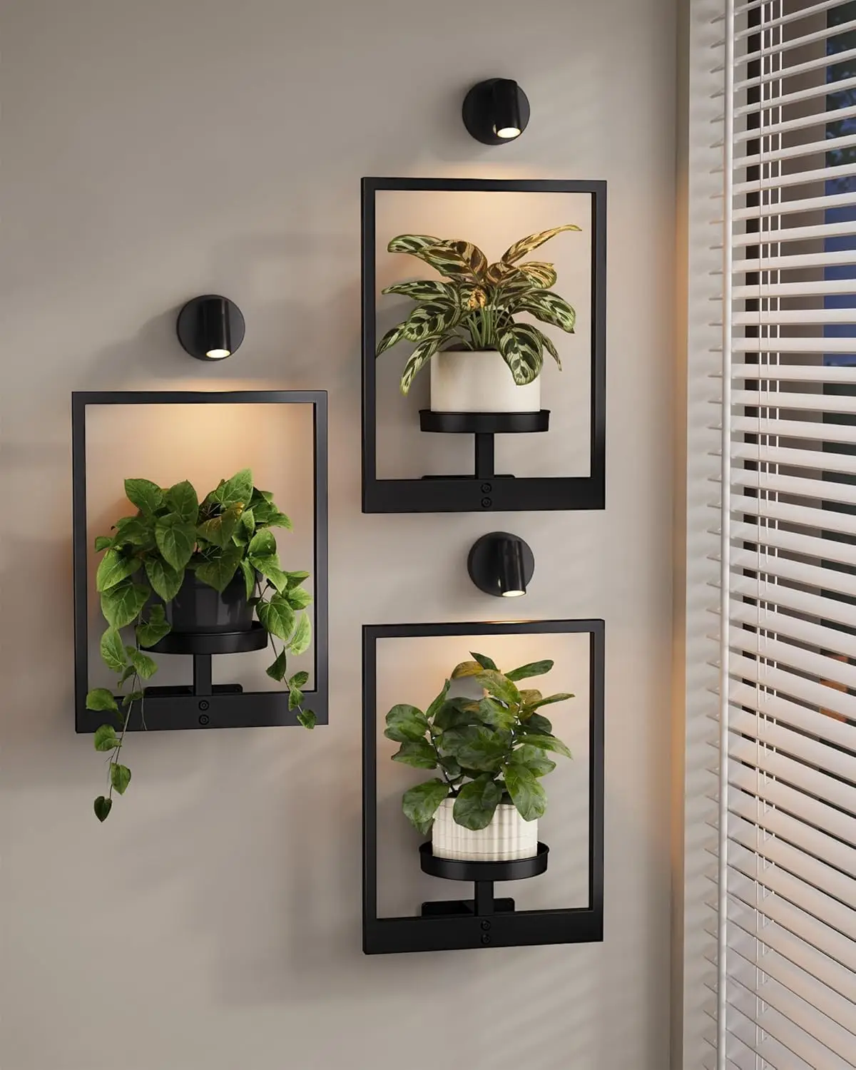 3-Pack Hanging Planters with Lights, Wall Plant Shelves for Indoor Plants, Window Plant Hanger, Living Room Decor
3-Pack Hanging Planters with Lights, Wall Plant Shelves for Indoor Plants, Window Plant Hanger, Living Room Decor