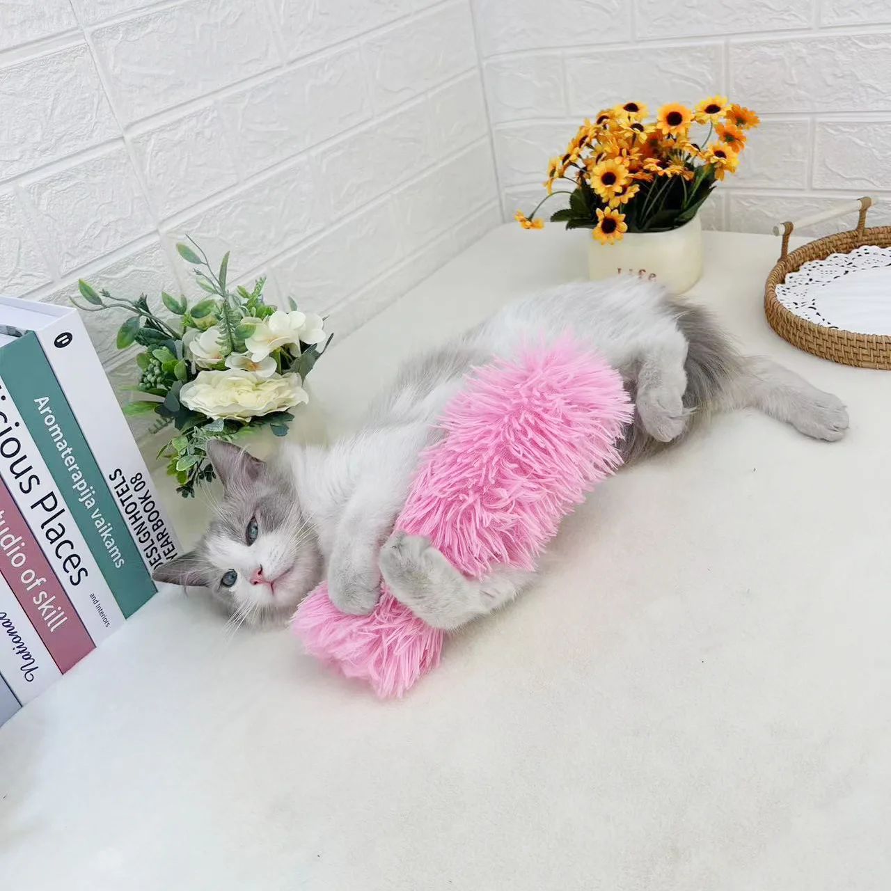 Plush Cat Mint Deep Sleep Pillow, Interactive Self Entertainment Toy, Pet Supplies, New
Plush Cat Mint Deep Sleep Pillow, Interactive Self Entertainment Toy, Pet Supplies, New