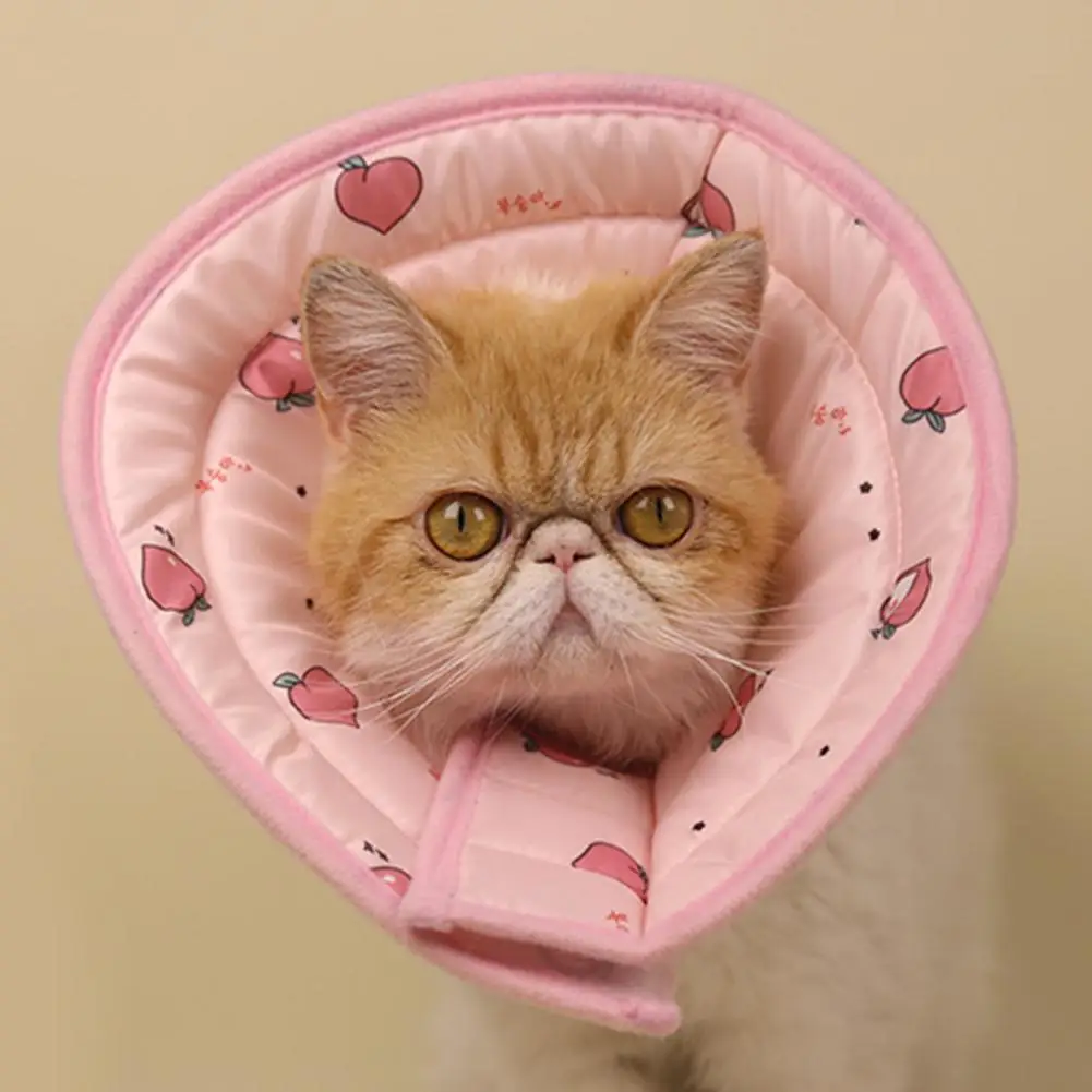 Cat Elizabethan Collar Recovery Cone Cartoon Shape Adorable Mesh Anti-bite Comfortable Pet Recovery Neck Collar Pet Accessories
Cat Elizabethan Collar Recovery Cone Cartoon Shape Adorable Mesh Anti-bite Comfortable Pet Recovery Neck Collar Pet Accessories