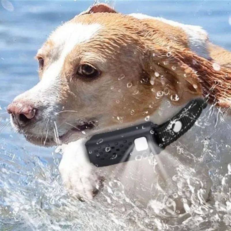 Training Super Long Remote Control Waterproof Bark Collar Rechargeable Battery Electric Shock Collar All Size Dogs
Training Super Long Remote Control Waterproof Bark Collar Rechargeable Battery Electric Shock Collar All Size Dogs