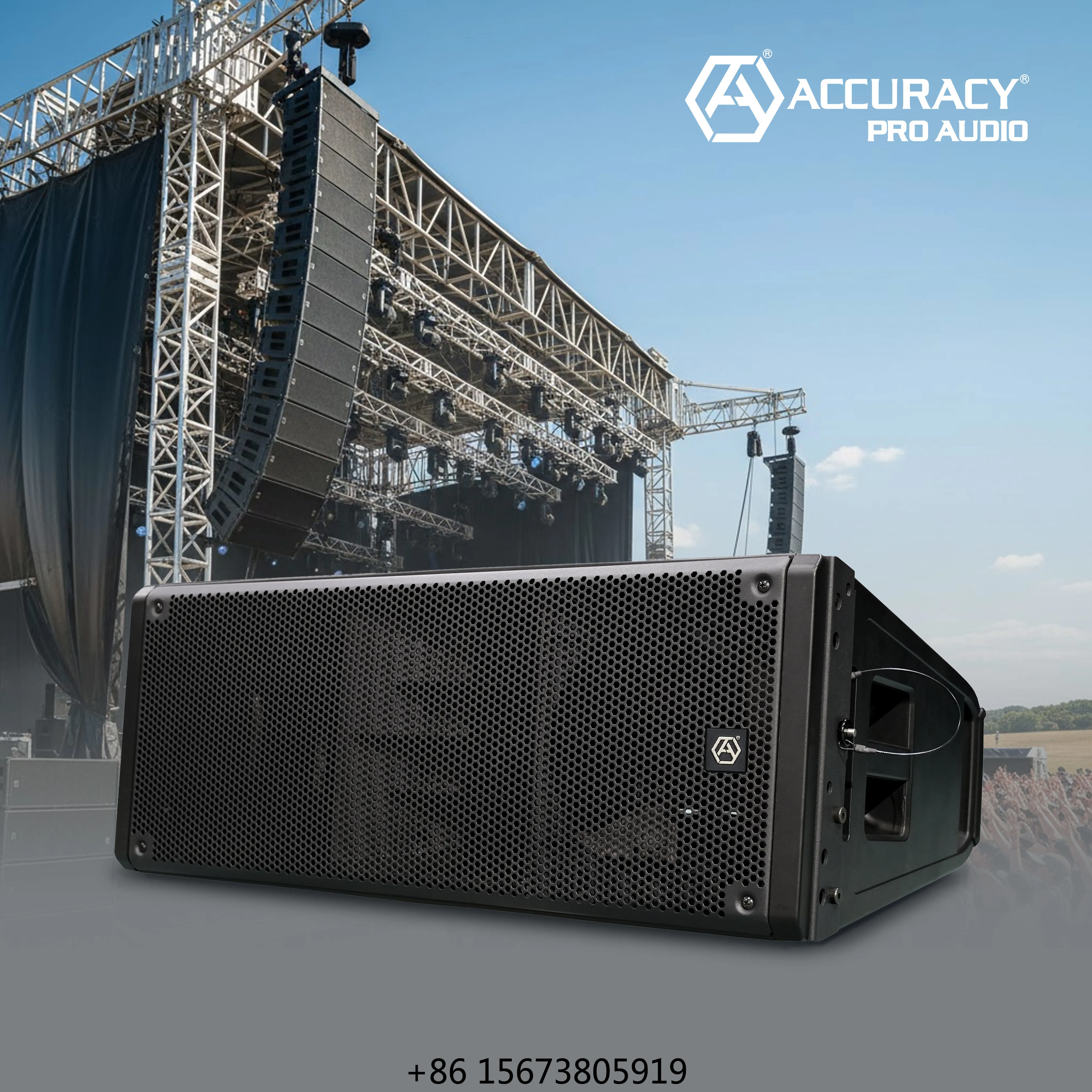 Accuracy Pro Audio CF210A Compact Dual 10 Inch Line Array Speakers Professional Sound System Line Array Module