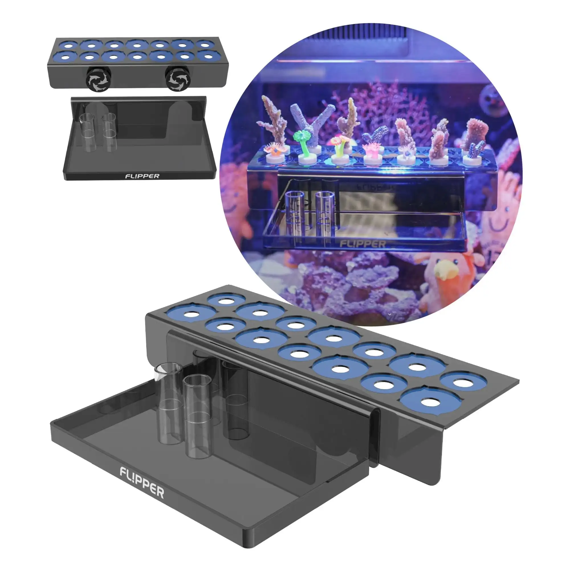 Flipper Magnetic Frag Station - Frag Rack with Removeable Shelf - Holds 14 Frags
Flipper Magnetic Frag Station - Frag Rack with Removeable Shelf - Holds 14 Frags