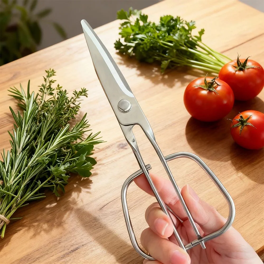 Stainless Steel Scissors Gardening Plant Branch Shears Flower Cutting Flower Shears Flowers Shop Scissors ikebana scissors
Stainless Steel Scissors Gardening Plant Branch Shears Flower Cutting Flower Shears Flowers Shop Scissors ikebana scissors