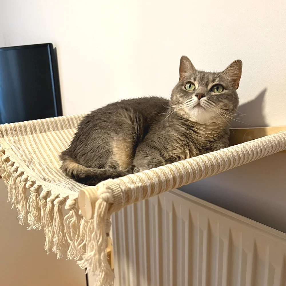 Cat Climbing Shelves Wall Mounted Cat Tree Hammock Scratcher Hiding House Pedal Stairs Wooden Cats Furniture Pet Supplies Toy
Cat Climbing Shelves Wall Mounted Cat Tree Hammock Scratcher Hiding House Pedal Stairs Wooden Cats Furniture Pet Supplies Toy