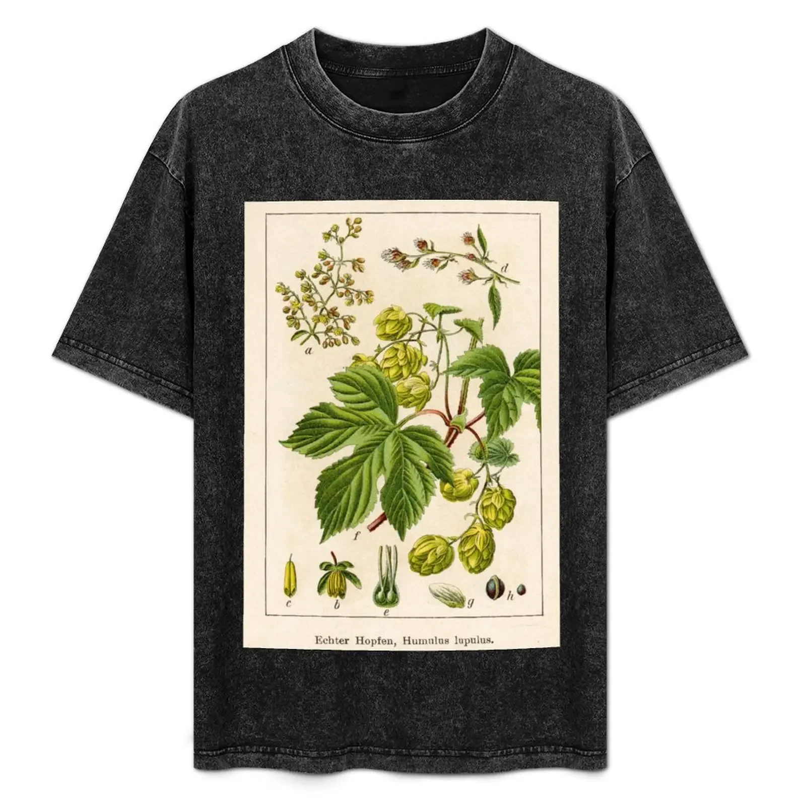 Vintage German botanical illustration - Humulus lupulus (hop) T-Shirt plain vintage clothes t shirts for men pack
Vintage German botanical illustration - Humulus lupulus (hop) T-Shirt plain vintage clothes t shirts for men pack