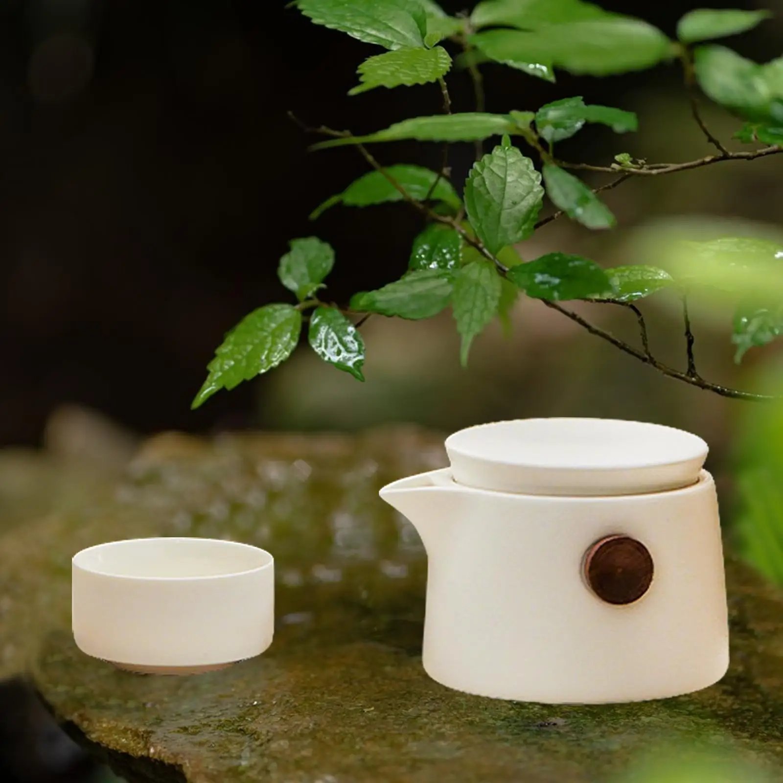 Портативный набор чайников, небольшой чайник кунг-фу для пикника, ежедневного активного отдыха
Портативный набор чайников, небольшой чайник кунг-фу для пикника, ежедневного активного отдыха