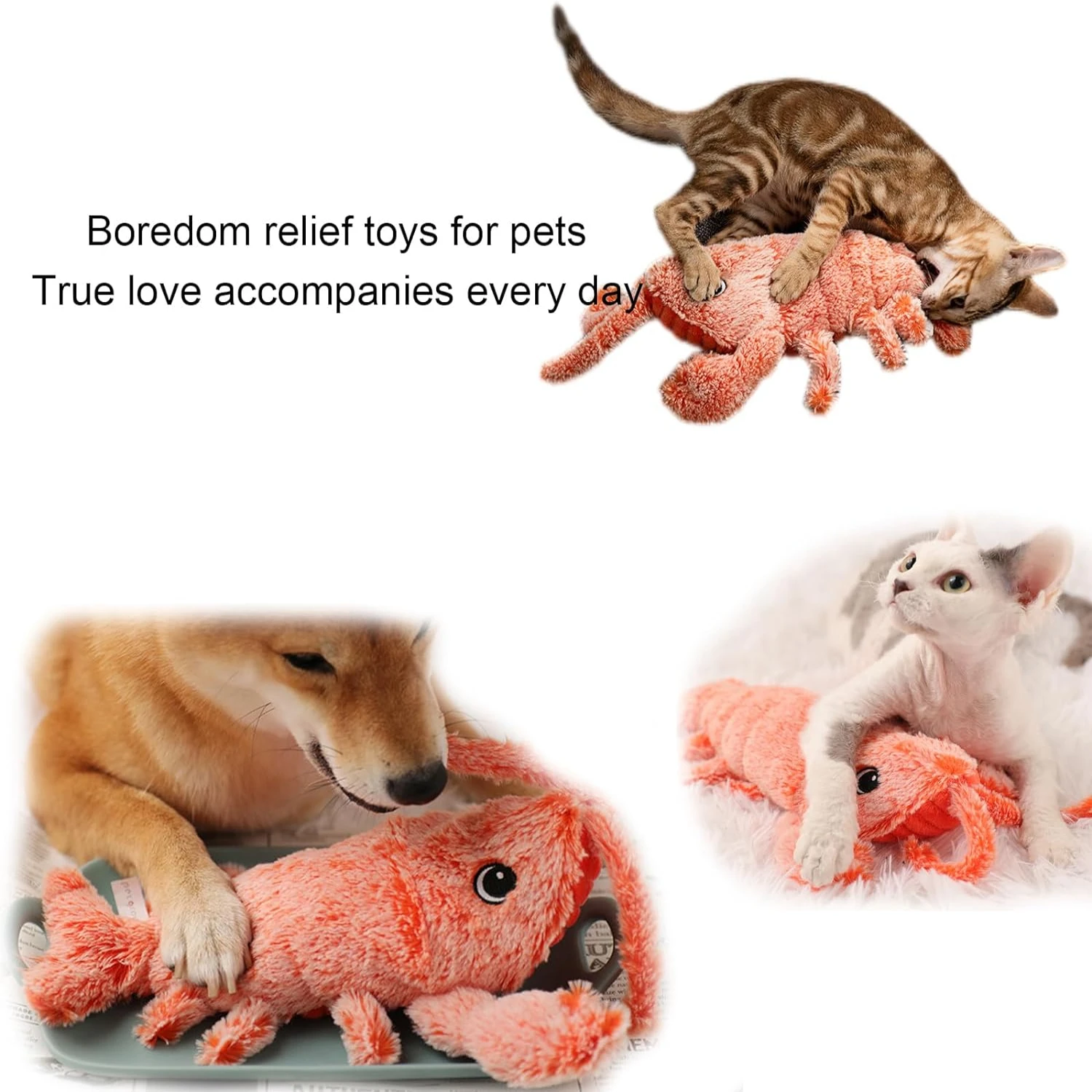Sturdy and dependable accessories for energetic animals Ideal, durable equipment for pets on the move, designed for maximum com
Sturdy and dependable accessories for energetic animals Ideal, durable equipment for pets on the move, designed for maximum com
