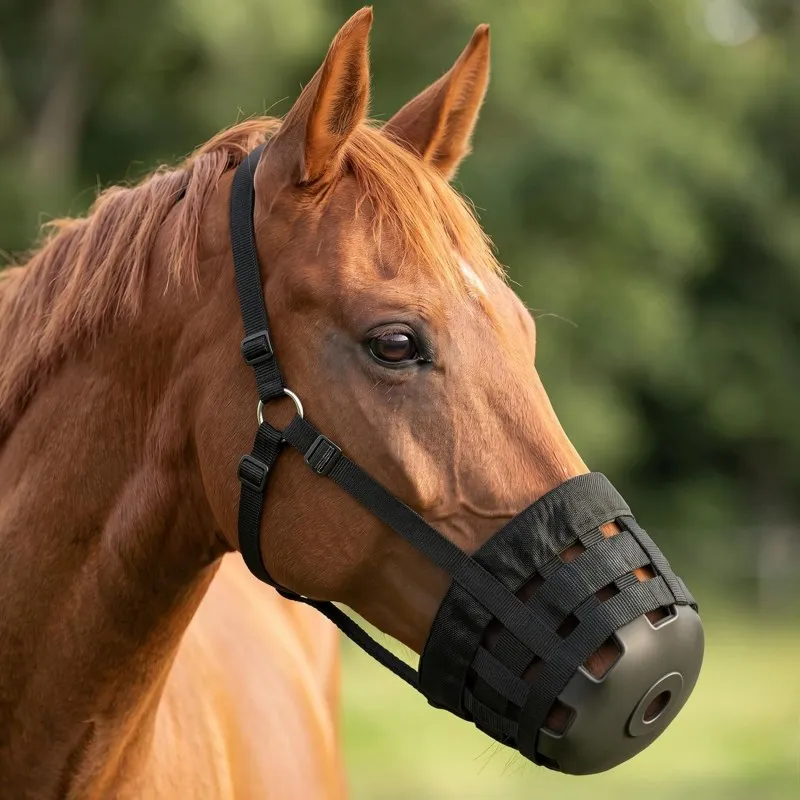 Horse Grazing Muzzle with Halte Soft Rubber Anti-Bite Muzzle Breathable Slow Feed Horse for Easy Breathing Grazing Control
Horse Grazing Muzzle with Halte Soft Rubber Anti-Bite Muzzle Breathable Slow Feed Horse for Easy Breathing Grazing Control