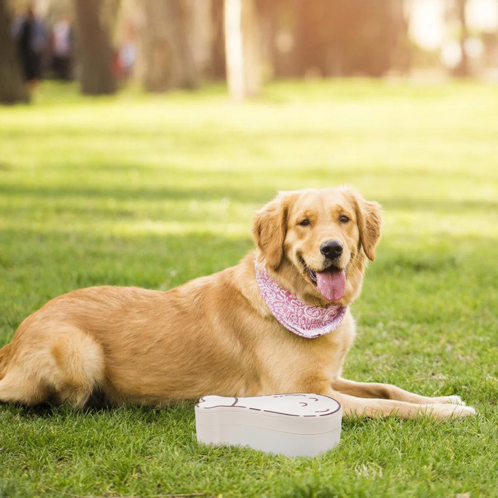 Pet Water Container Multi-Functional Portable Dog Bowl Durable Lightweight Travel Hiking Park Walks Dog Water Bowl Portable
Pet Water Container Multi-Functional Portable Dog Bowl Durable Lightweight Travel Hiking Park Walks Dog Water Bowl Portable