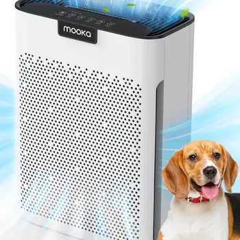 Home Large Room 2000 Ft² with Washable Filters, Fragrance Sponge,Filter Pet Air Purifier for B