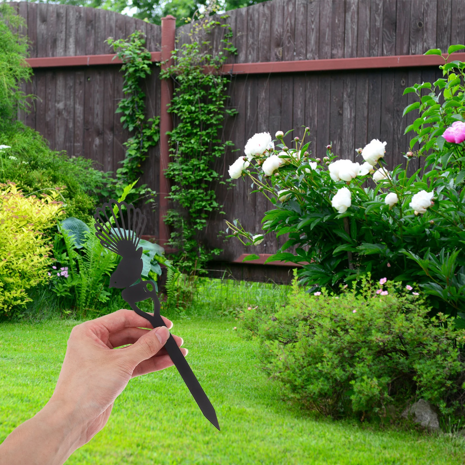 Artwork Insert Garden Stakes Beautiful Bird Durable Wear Resistance Spring Connected Yard Decor Patio Stake Decor Birds
Artwork Insert Garden Stakes Beautiful Bird Durable Wear Resistance Spring Connected Yard Decor Patio Stake Decor Birds