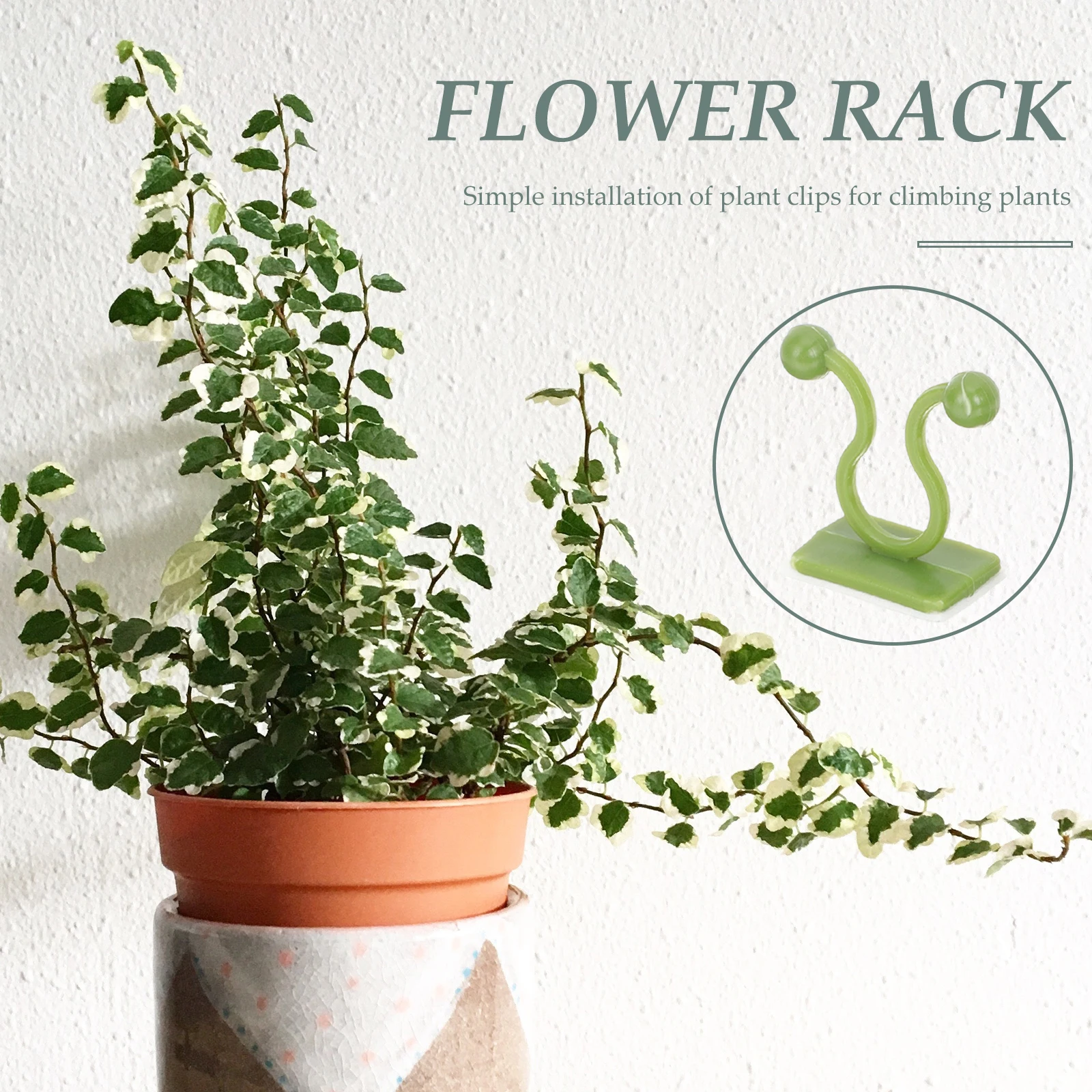 90 Pcs Holders Wall Climbing Hooks Hook On Bed Rails Vine Clips for Durable Plastic Small Medium Large
90 Pcs Holders Wall Climbing Hooks Hook On Bed Rails Vine Clips for Durable Plastic Small Medium Large