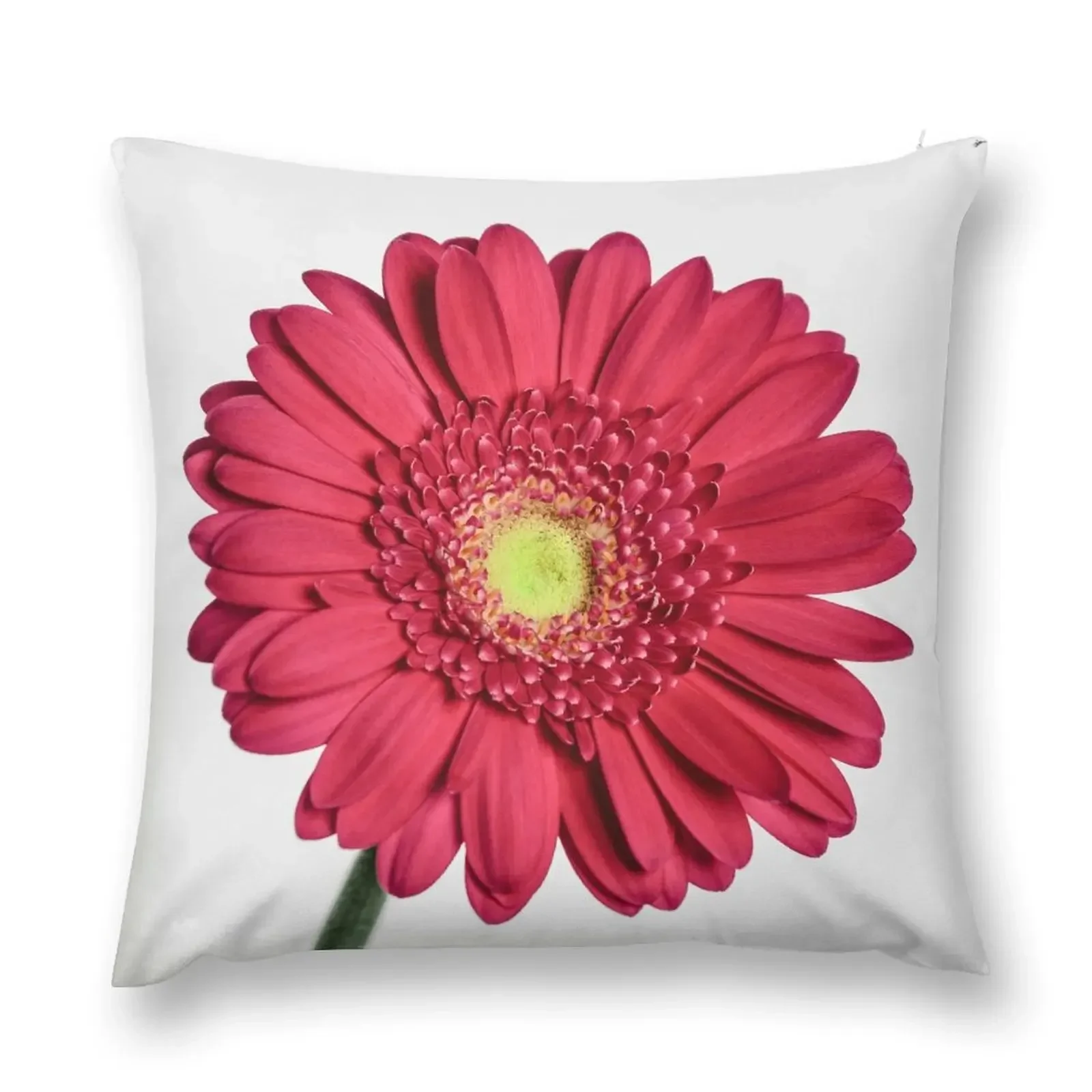Red Gerbera Flower Throw Pillow luxury sofa pillows christmas ornaments 2025 Cusions Cover Sofas Covers pillow
Red Gerbera Flower Throw Pillow luxury sofa pillows christmas ornaments 2025 Cusions Cover Sofas Covers pillow