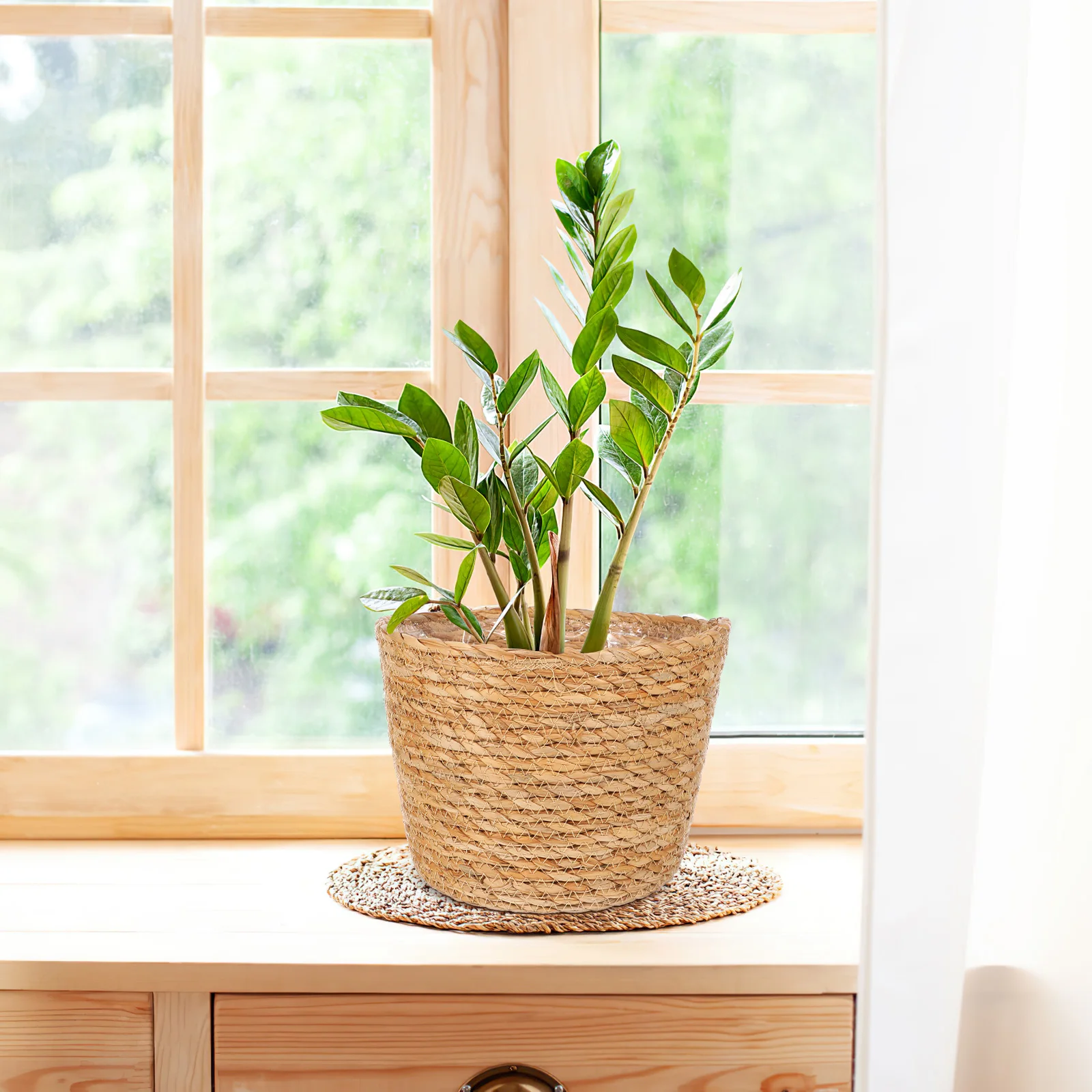 Rattan Flower Pot Woven Planter Basket Straw Weaving Container A Size Storage Home Supplies Plant Baskets Indoor
Rattan Flower Pot Woven Planter Basket Straw Weaving Container A Size Storage Home Supplies Plant Baskets Indoor