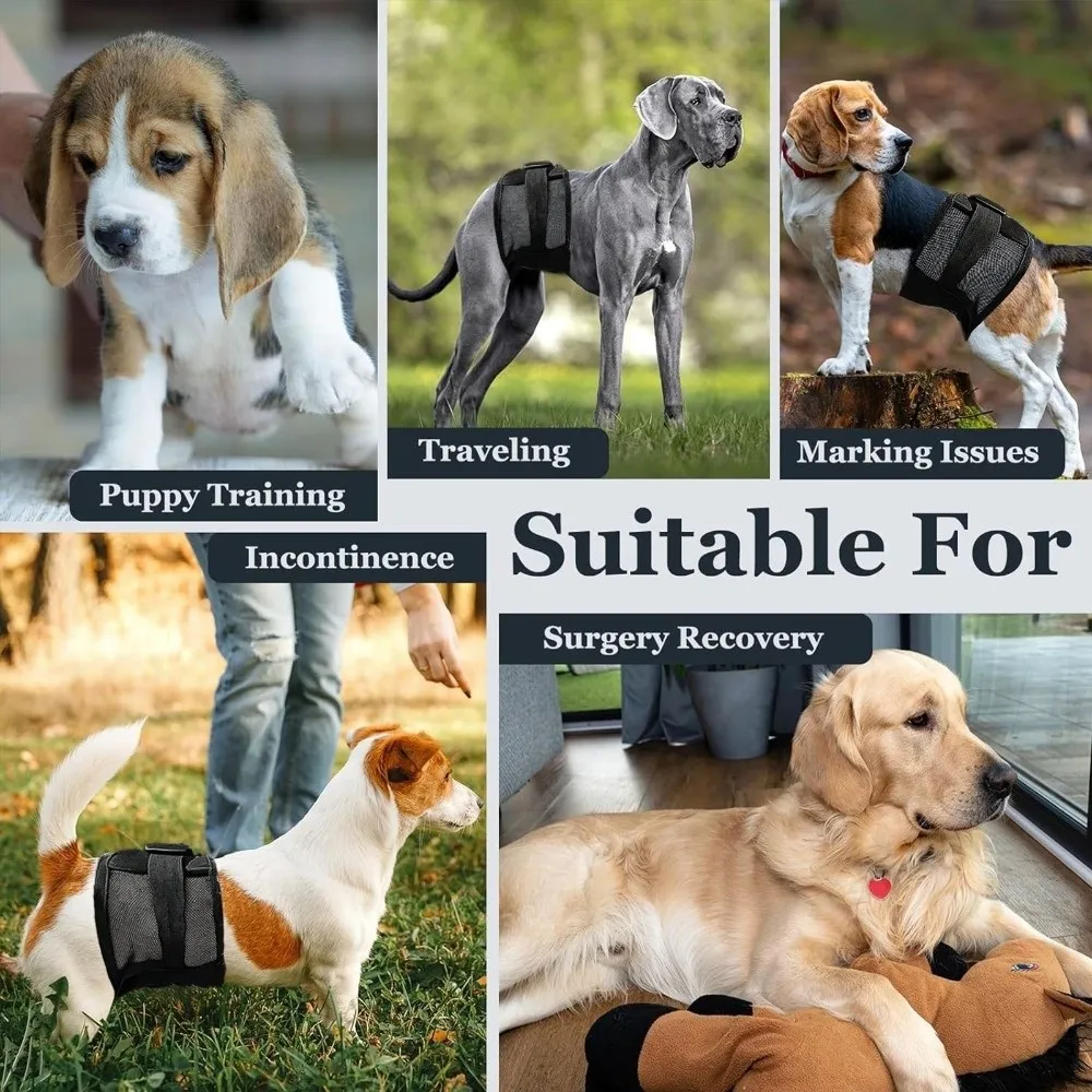 Breathable Mesh Dog Physiological Pants Washable Reusable Politeness Belt Anti-Harassment Dog Panties in Heat Season
Breathable Mesh Dog Physiological Pants Washable Reusable Politeness Belt Anti-Harassment Dog Panties in Heat Season