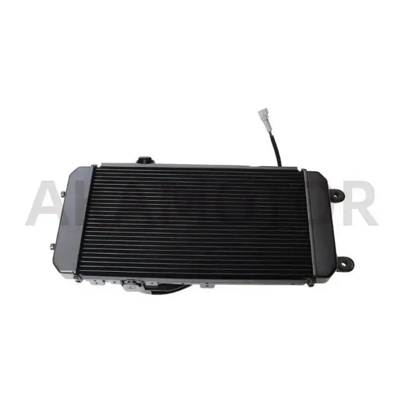 Radiator Component For Loncin Voge LX600-2 CU625
Radiator Component For Loncin Voge LX600-2 CU625