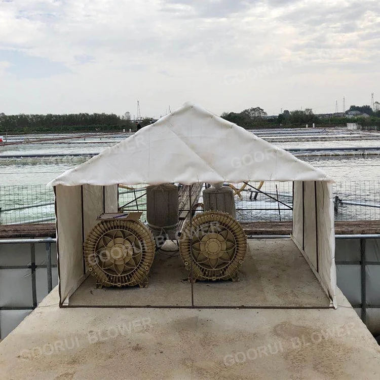 STLFFish Pond Aeration Oxygen Supply Regenerative Air Pump Water Treatment Ring Blower for Aquaculture Biofloc Systems
STLFFish Pond Aeration Oxygen Supply Regenerative Air Pump Water Treatment Ring Blower for Aquaculture Biofloc Systems