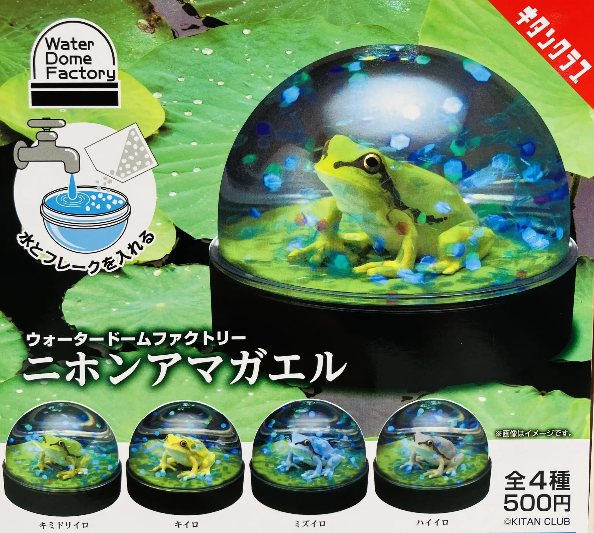 KITAN capsule toys Water Dome Factory Japanese Tree Frog on otus leaf transparent sparkling flakes snow globe ornament figures
KITAN capsule toys Water Dome Factory Japanese Tree Frog on otus leaf transparent sparkling flakes snow globe ornament figures