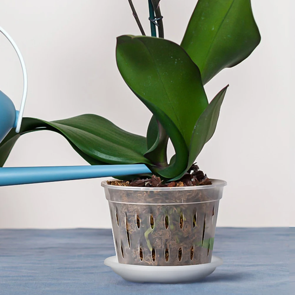 10 шт., прозрачные цветочные горшки для детского сада, пластиковые горшки для фаленопсиса, горшок для внутреннего дыхания, дренажные отверстия для детских растений
10 шт., прозрачные цветочные горшки для детского сада, пластиковые горшки для фаленопсиса, горшок для внутреннего дыхания, дренажные отверстия для детских растений