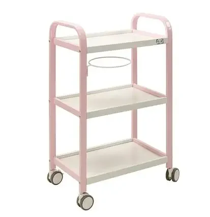Japanese-style beauty salon special cart home beauty salon trolley three-layer beauty trolley with brake
Japanese-style beauty salon special cart home beauty salon trolley three-layer beauty trolley with brake