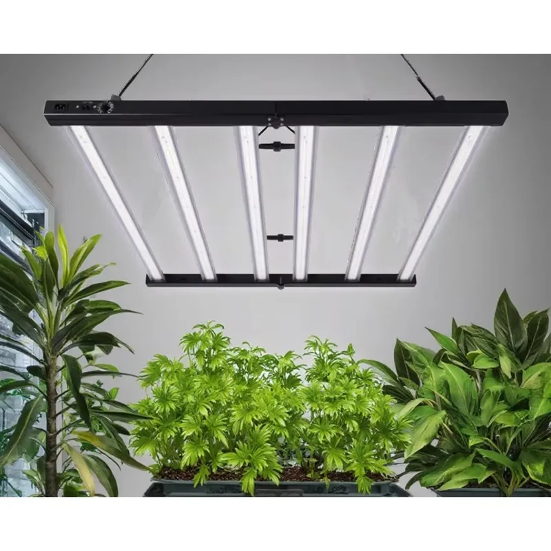 Full Spectrum Dimmable Energy Saving IP54 Aluminum Material 720w Led Grow Light for Rapid Plant Growth
Full Spectrum Dimmable Energy Saving IP54 Aluminum Material 720w Led Grow Light for Rapid Plant Growth