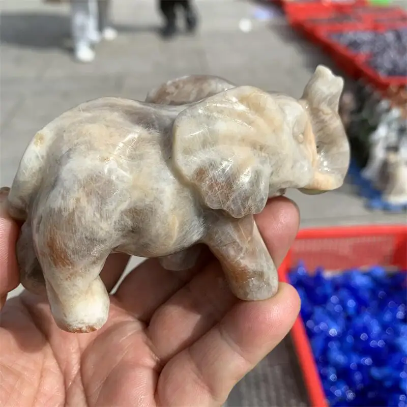 Natural Moon Stone Elephant Carving Polished Animal Powerful Statue For Home Decoration Gift 1pcs
Natural Moon Stone Elephant Carving Polished Animal Powerful Statue For Home Decoration Gift 1pcs