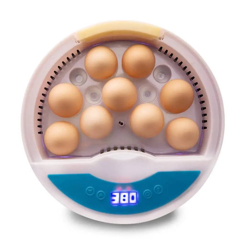 Digital Egg Hatcher with Built in Fan LED Display Bird Egg Incubator for Backyard Poultry and Laboratory Use
Digital Egg Hatcher with Built in Fan LED Display Bird Egg Incubator for Backyard Poultry and Laboratory Use