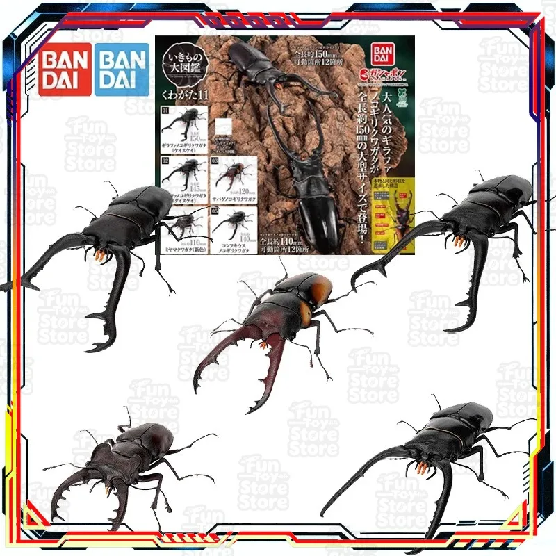 Коллекционная фигурка Bandai Tamashii Nations Kamen Rider Build Stag Beetle, игрушка-модель для мальчиков и девочек, подарок для детей
Коллекционная фигурка Bandai Tamashii Nations Kamen Rider Build Stag Beetle, игрушка-модель для мальчиков и девочек, подарок для детей