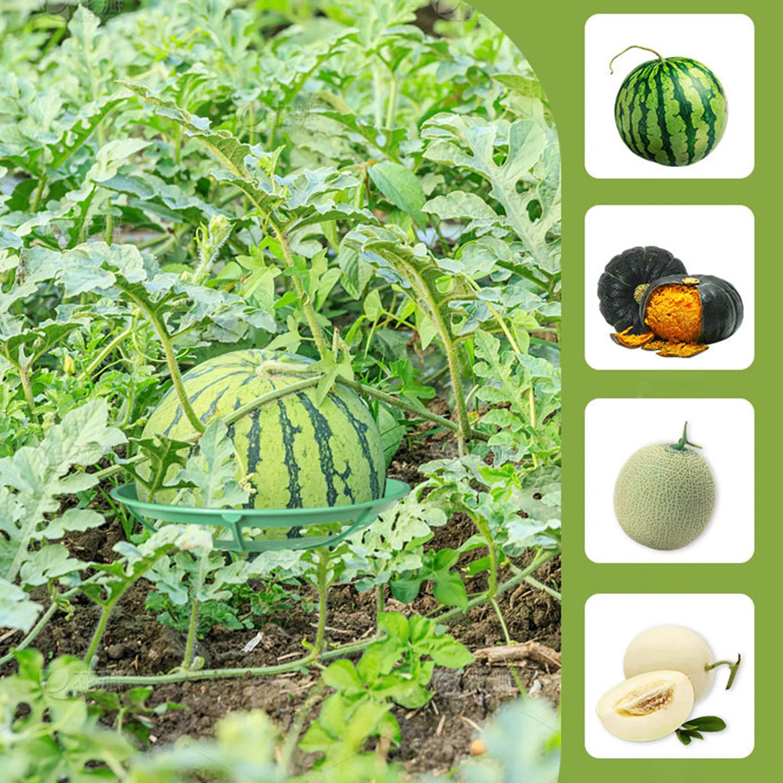 6pcs Anti-corrosion Melon Cradle Strawberry Stand Plant Melon Climbing Trellis Climbing Support Gardening Rack
6pcs Anti-corrosion Melon Cradle Strawberry Stand Plant Melon Climbing Trellis Climbing Support Gardening Rack